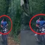 प्रेमिका को बुलेट की टंकी पर बैठाकर दौड़ाई बाइक, हल्द्वानी में खतरनाक स्टंट का वीडियो वायरल